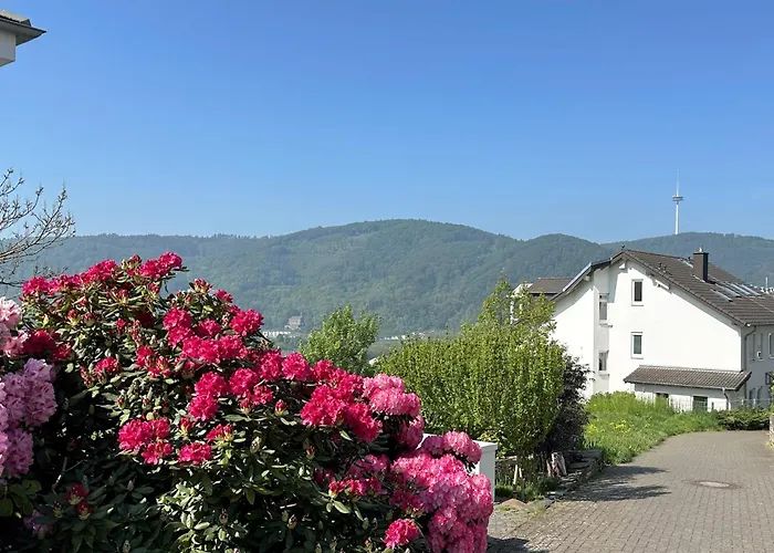 Ferienwohnung Rhein-Panorama
