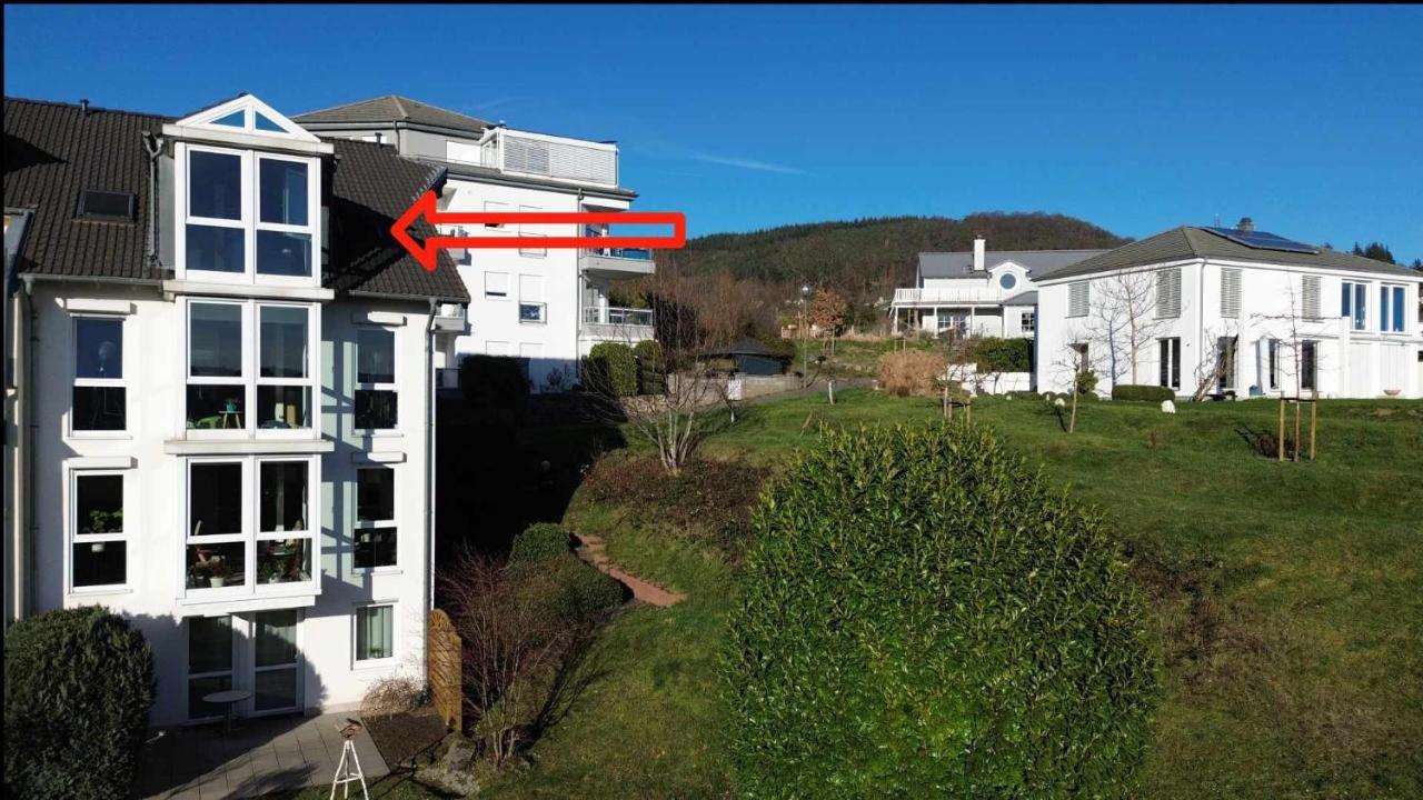 Rhein-panorama Lahnstein