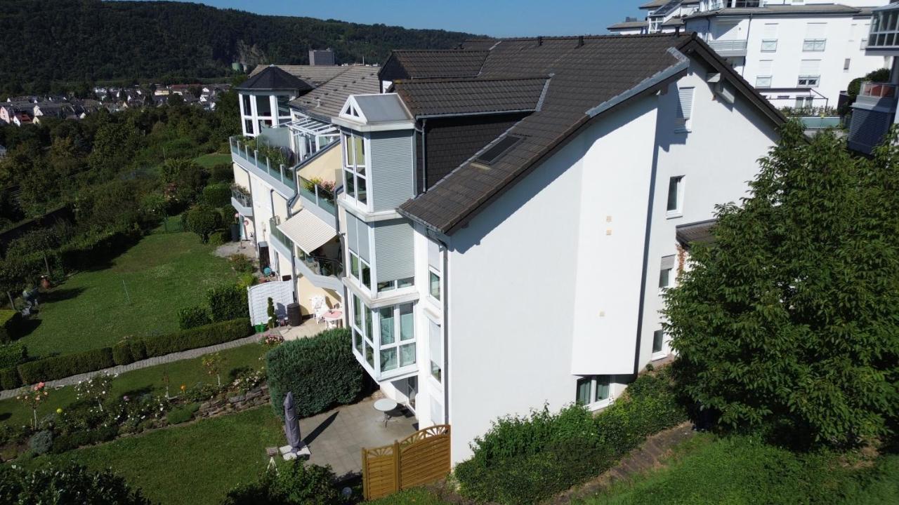 Rhein-panorama Lahnstein