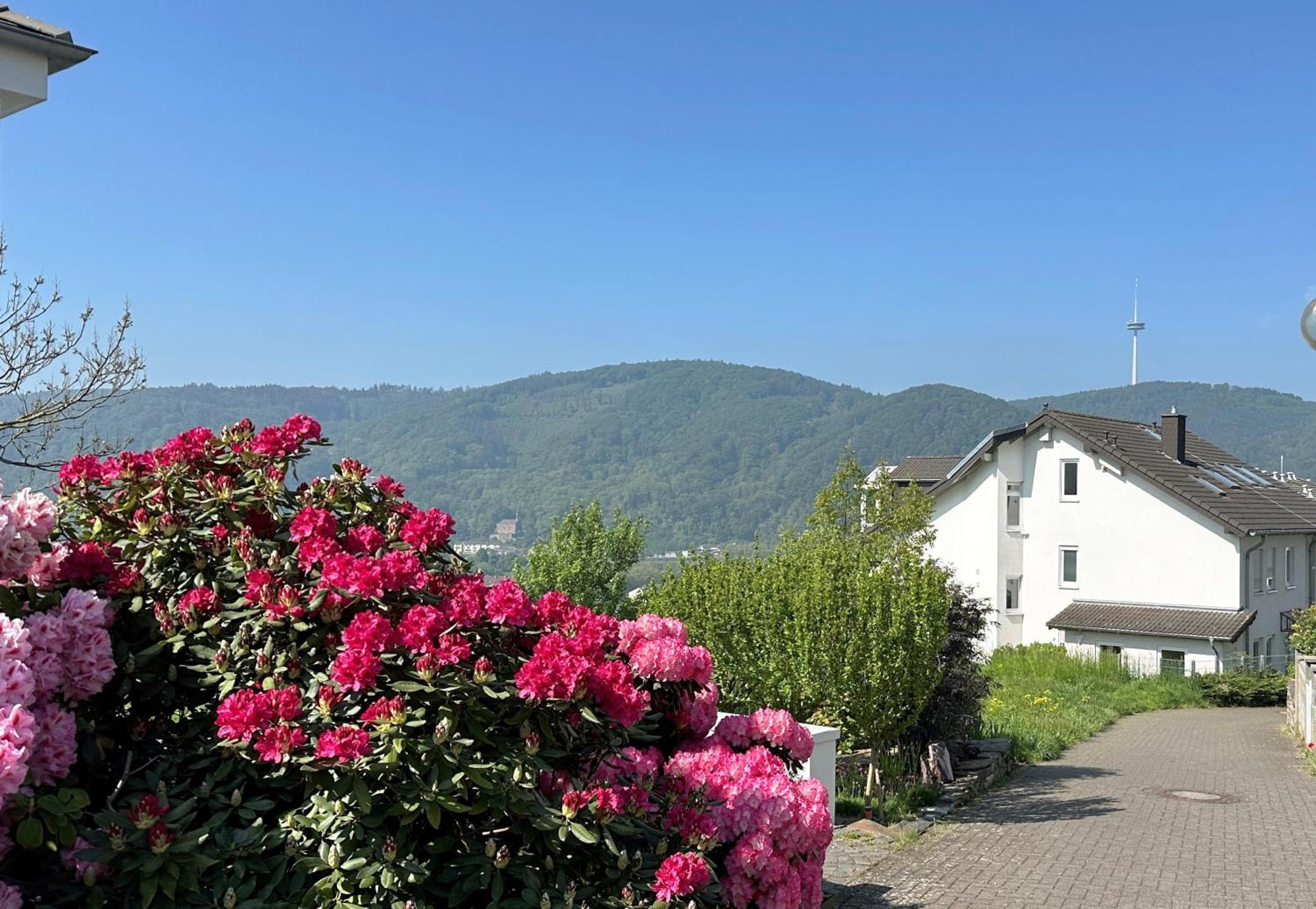 Rhein-panorama * Lahnstein