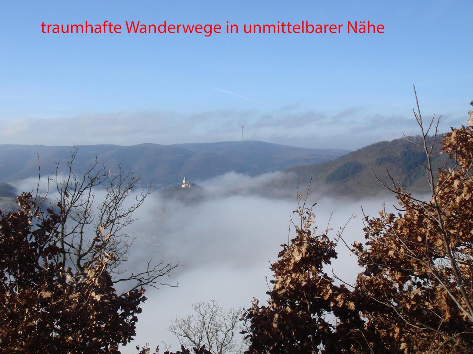 Apartment Rhein-panorama *