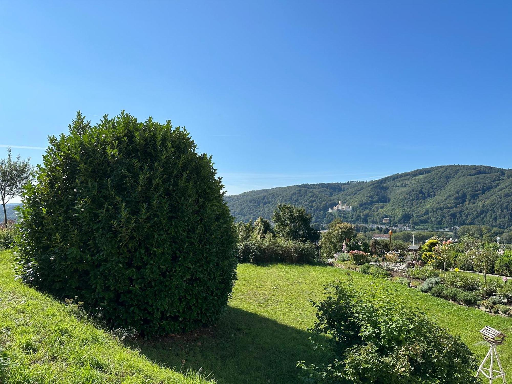 Rhein-panorama *